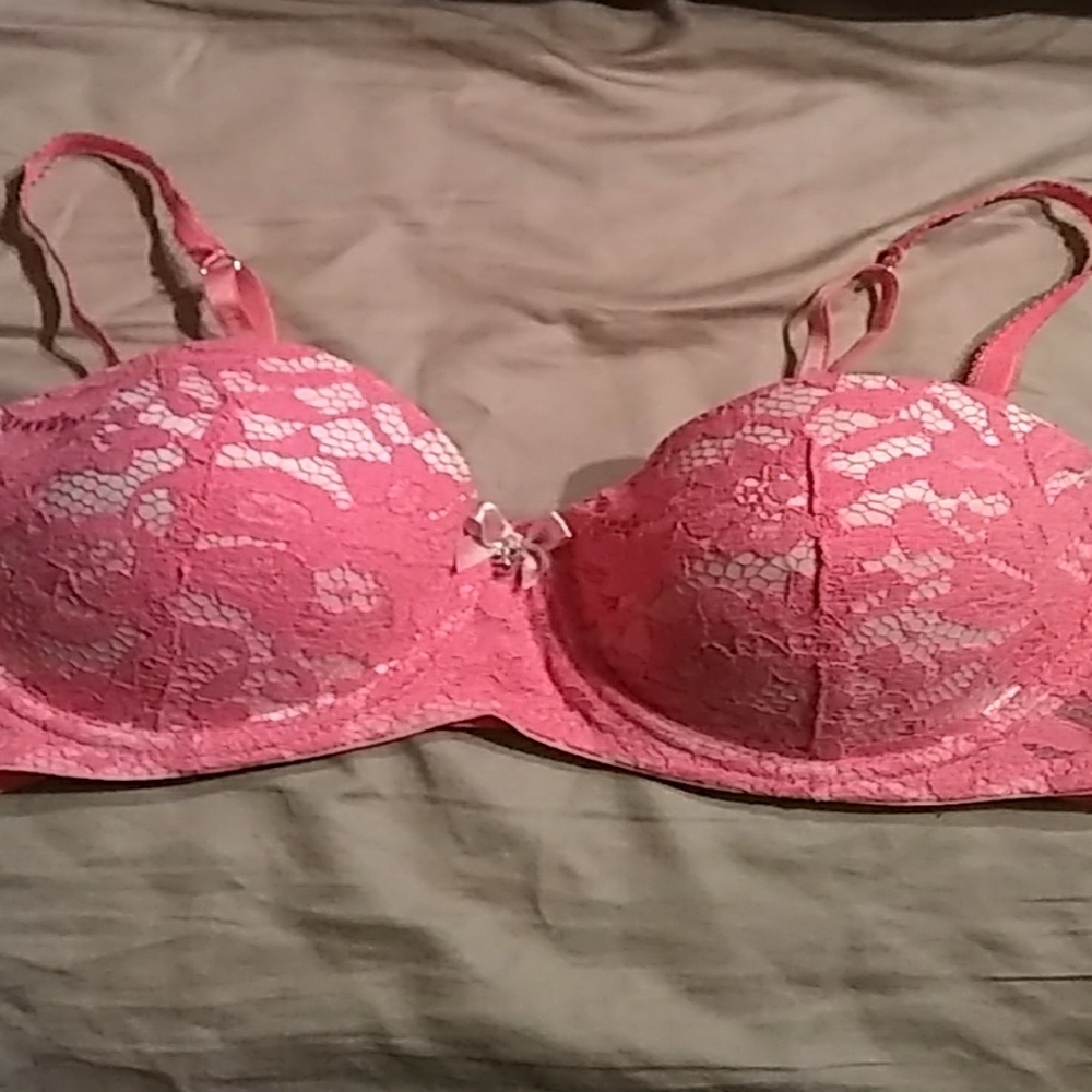 Daisy Fuentes bra